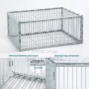 Guinea Fowl Trap