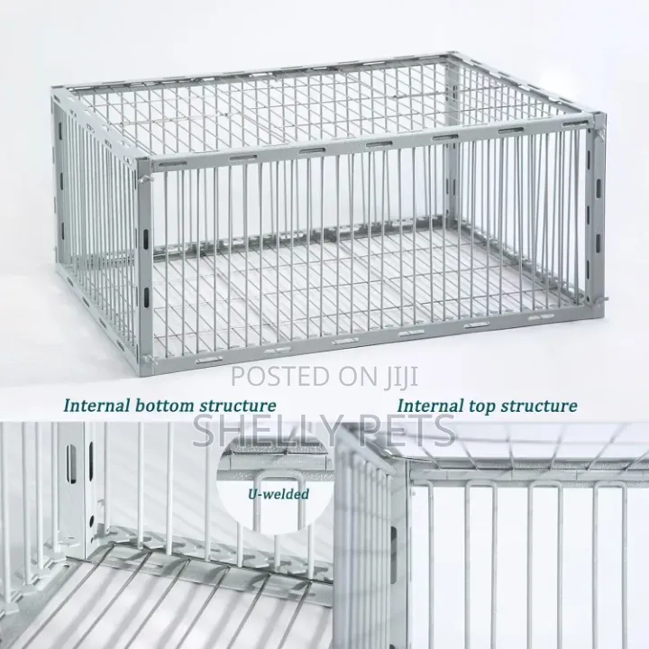 Guinea Fowl Trap