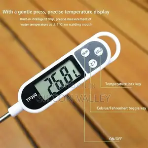 Food Temperature Gauge for Kitchen