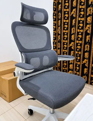 Premium Ergonomic Office Chair– Executive Reclining Chair