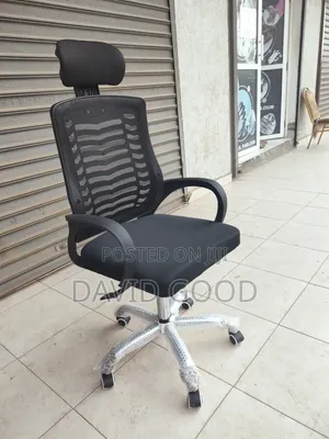 Emu Othropedic Office Chair