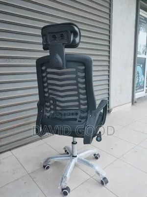 Emu Othropedic Office Chair