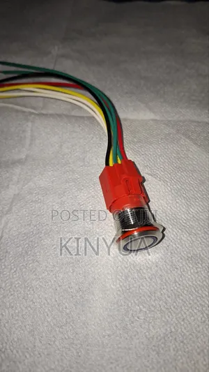 19mm Stainless Steel Push Button(with Light)
