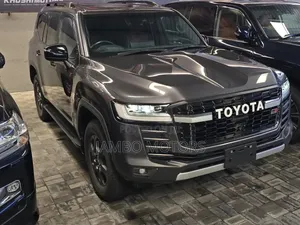 Toyota Land Cruiser LC300 2024 Gray