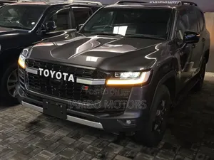 Toyota Land Cruiser LC300 2024 Gray