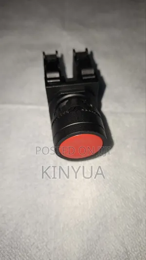 22MM Flush Industrial Push Button.