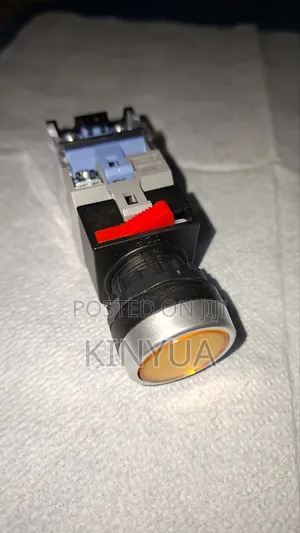 22mm-Start Push Button With Internal Led