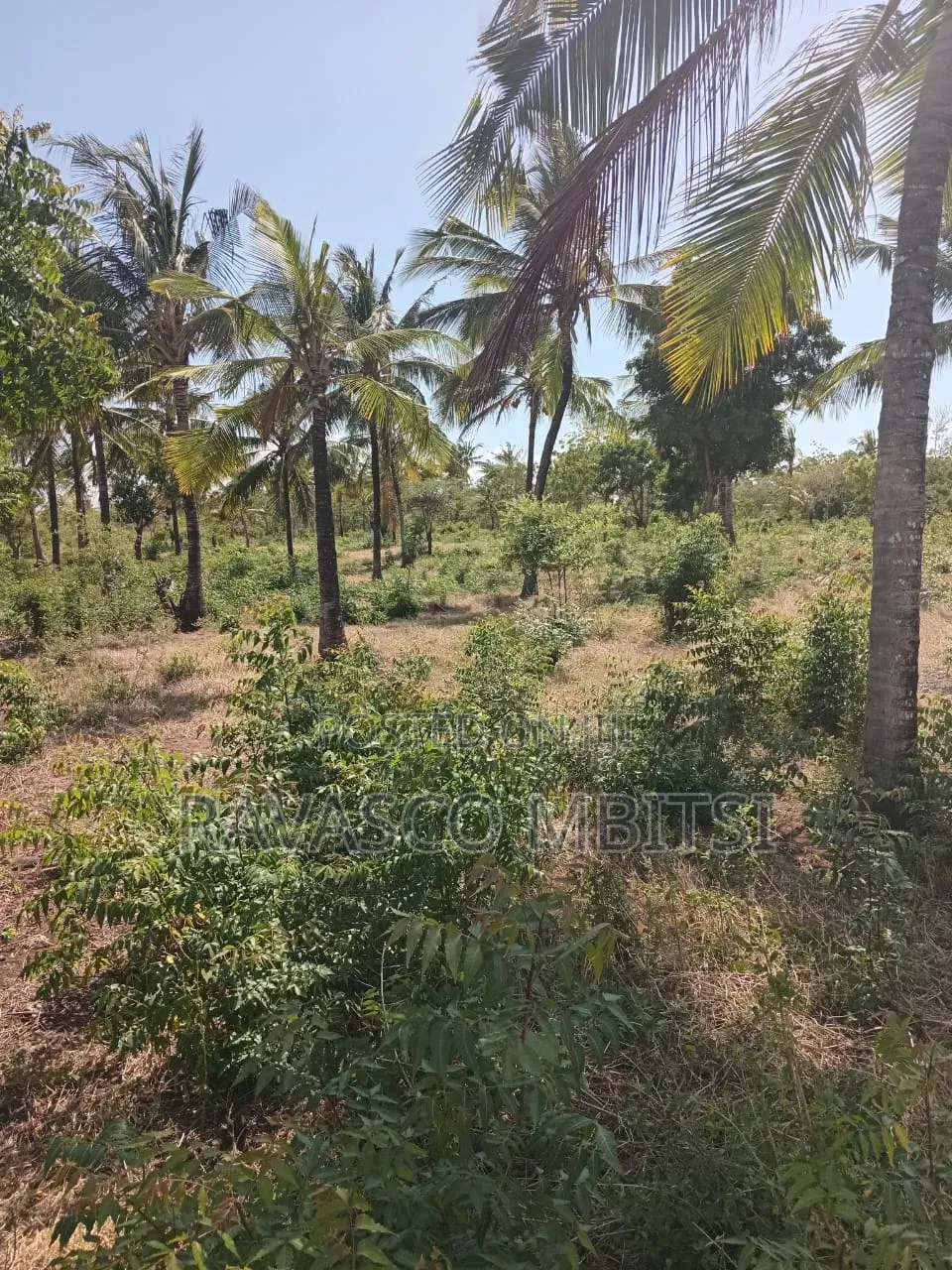 2 Acres Forsale in Kilifi Chumani Roka