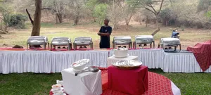 The Kitchen View