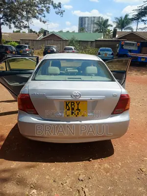 Toyota Axio 2007 Silver
