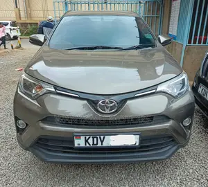 Toyota RAV4 2017 Gray