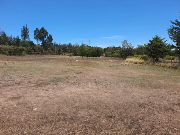 2 Acres Near Nanyuki Airstrip - thumbnail 4