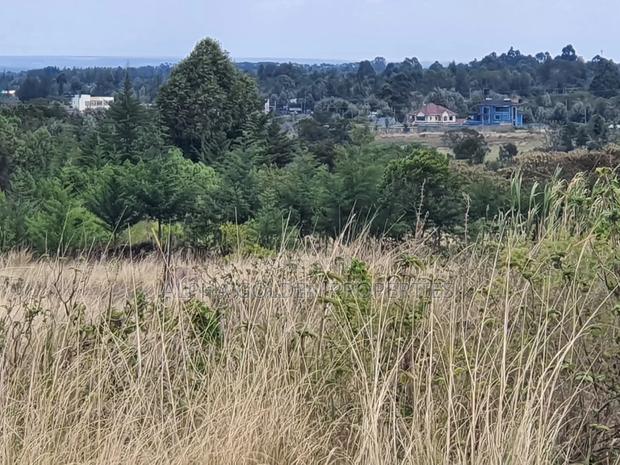 2 Acres Near Nanyuki Airstrip - thumbnail 5