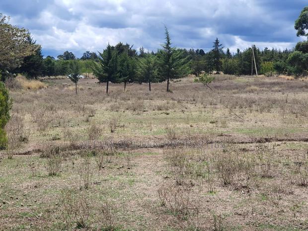 2 Acres Near Nanyuki Airstrip - thumbnail 6