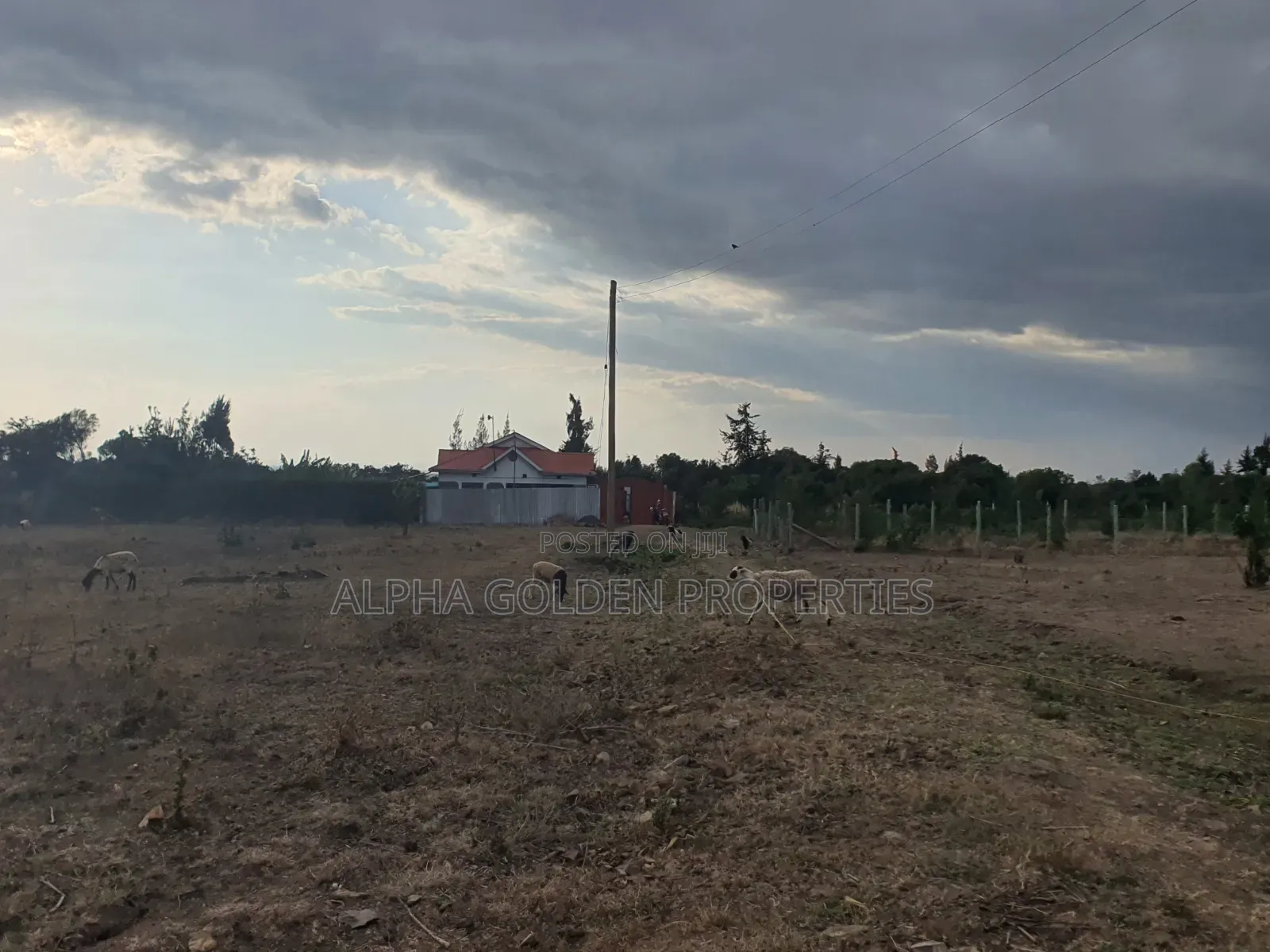 Plot in Ntrukuma