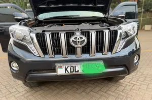 Toyota Land Cruiser Prado 2010 Gray