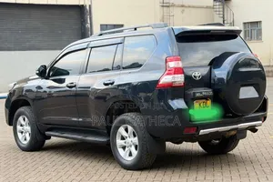 Toyota Land Cruiser Prado 2010 Gray