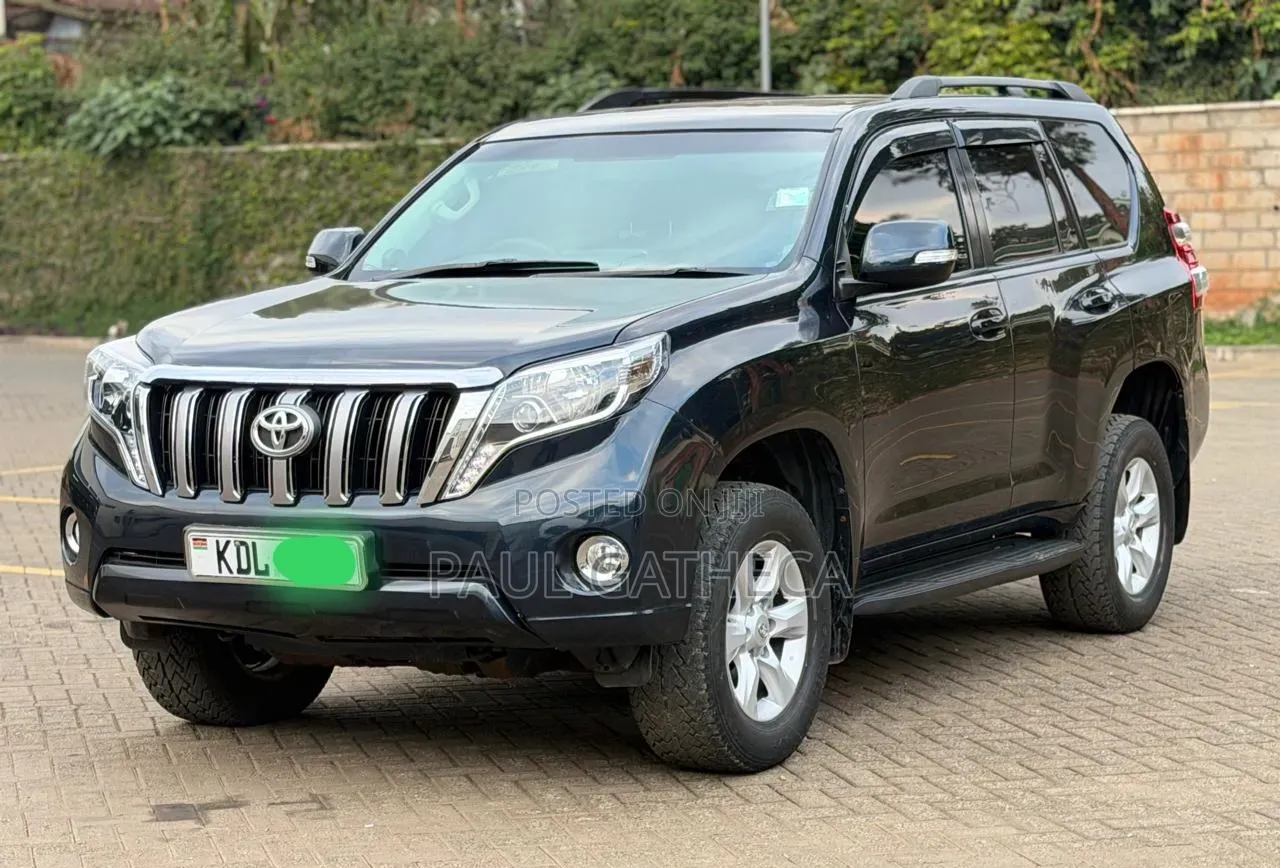 Toyota Land Cruiser Prado 2010 Gray