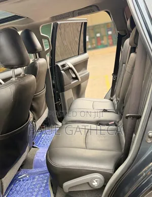 Toyota Land Cruiser Prado 2010 Gray