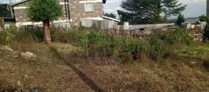 1/4 Acre Prime Land