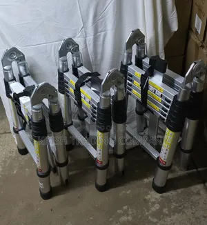 4.4m Double Telescopic Ladder