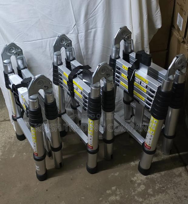 4.4m Double Telescopic Ladder - main view