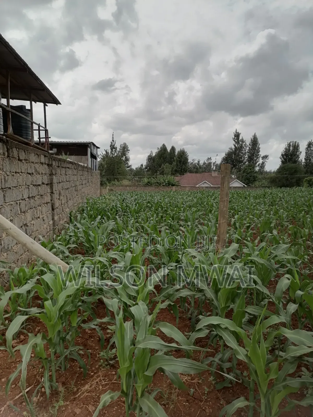 Plot for Sale