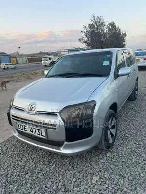 Toyota Probox 1.5 DX 2WD 2014 Silver