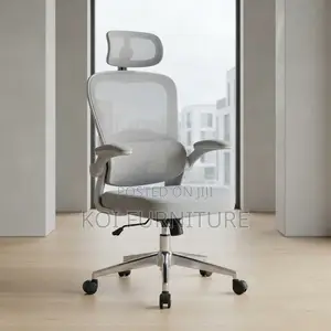 Office Chairs; White Fabric Orthopedic Mesh Backrest Chair