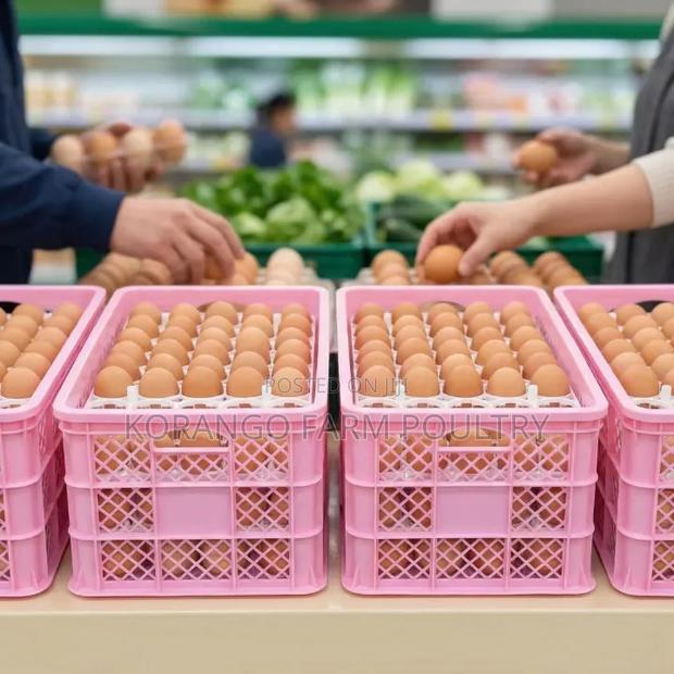 Egg Carrier - main view