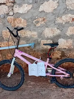 Stunt BMX Bike