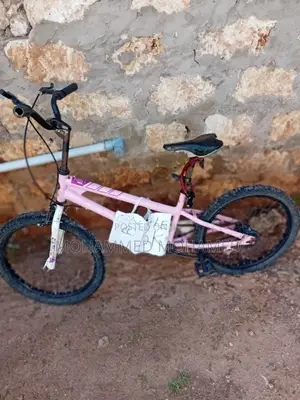 Stunt BMX Bike