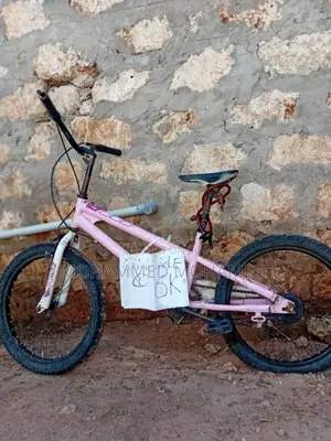 Stunt BMX Bike