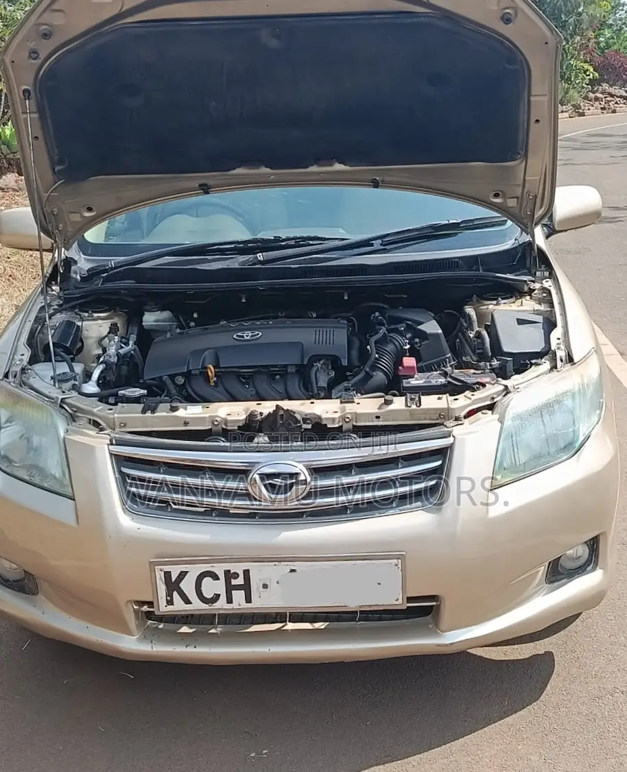 Toyota Axio 2008 Gray