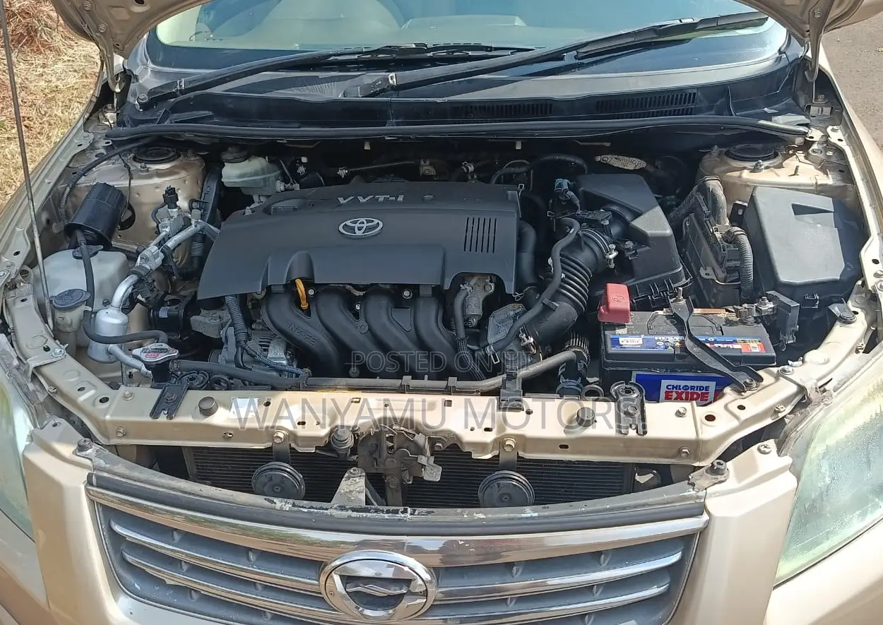 Toyota Axio 2008 Gray