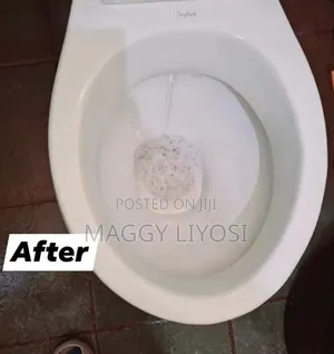 Cleaning Services