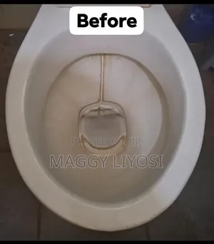Cleaning Services