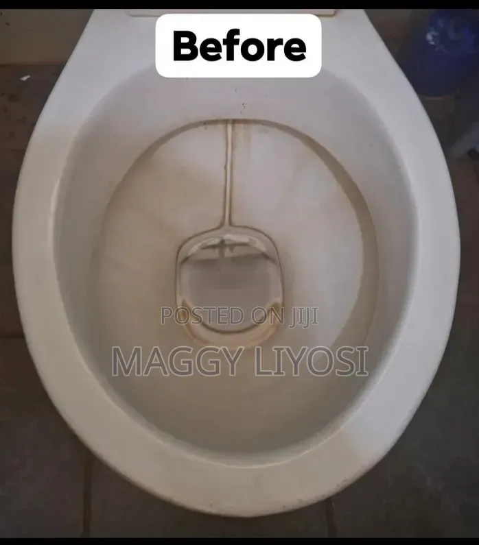 Cleaning Services