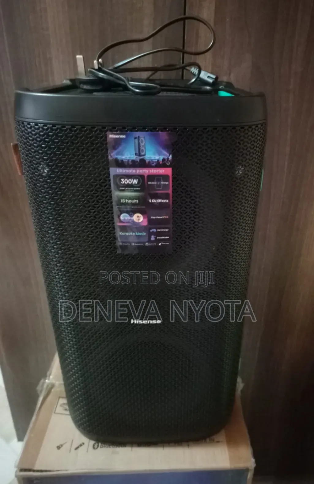 Hisense Partyrocker