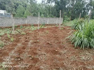 50x100 Plots in IKINU, KIAMBU