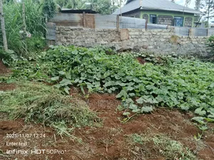 50x100 Plots in IKINU, KIAMBU