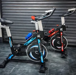 Euromax Indoor Spin Bike –