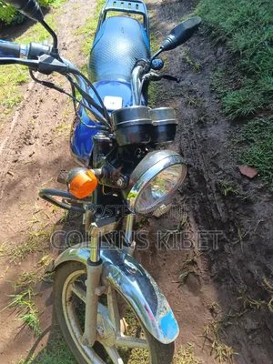 Bajaj Boxer 100 2025 Blue