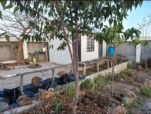Room Plus Premises in Own 50x100 Plot in Kitengela for Rent