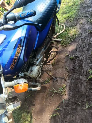 Bajaj Boxer 100 2025 Blue