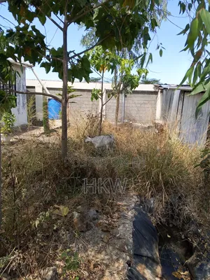 Room Plus Premises in Own 50x100 Plot in Kitengela for Rent