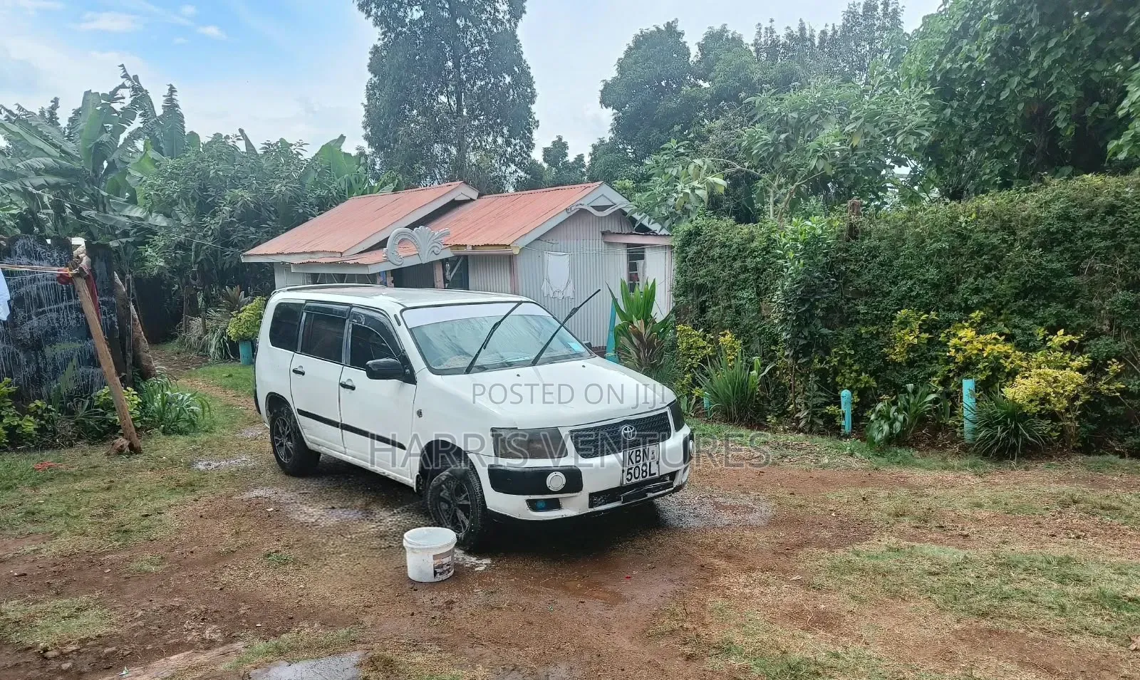 Toyota Probox 2014 White
