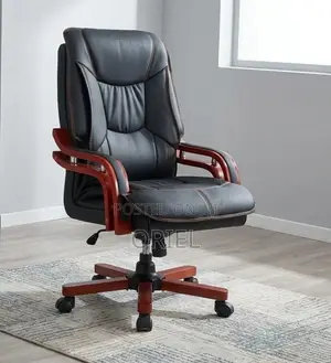 Executive Office Leather Chair : Directors Chair