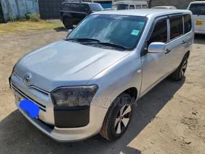Toyota Probox 2013 Silver