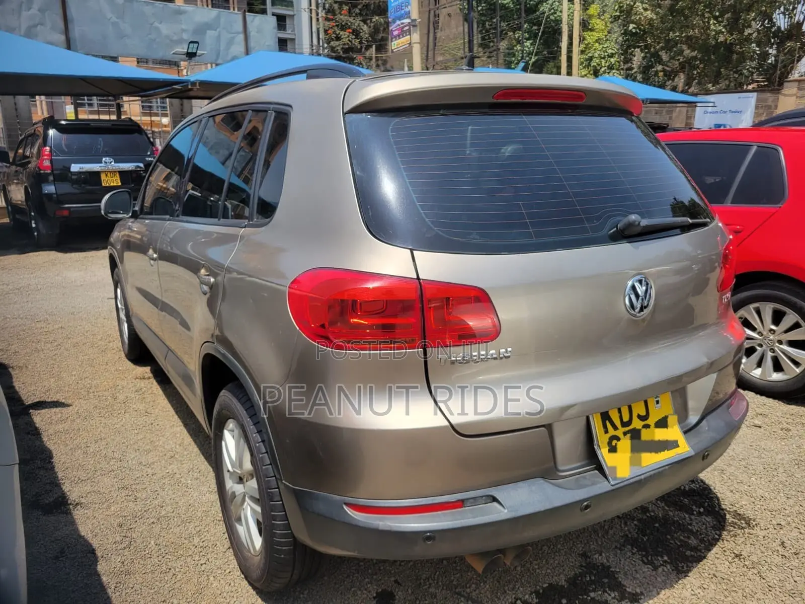 Volkswagen Tiguan 2015 Beige